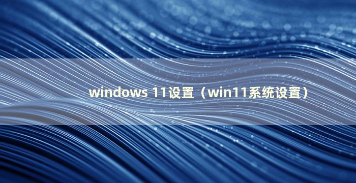 windows 11设置（win11系统设置）